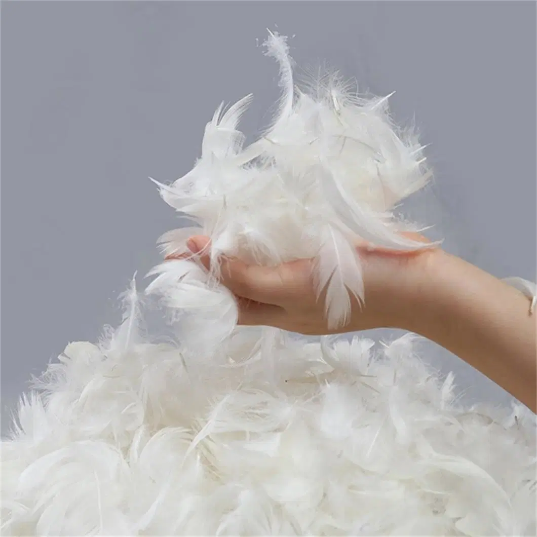 Natural 2-4 Cm Washed White Goose Down Feather for Pillow Duvet Use