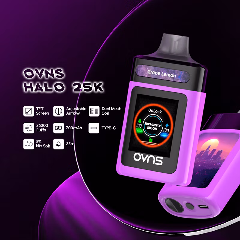2024 Best Disposable Vapes with Touch Screen or Mega Screen