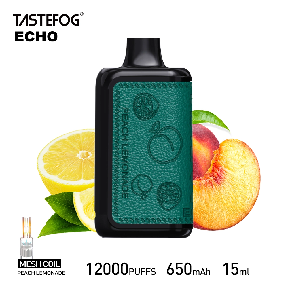 High Quality Tastefog Echo Rechargeable 12000 Puffs Disposable Vaping Box Mod E Cig