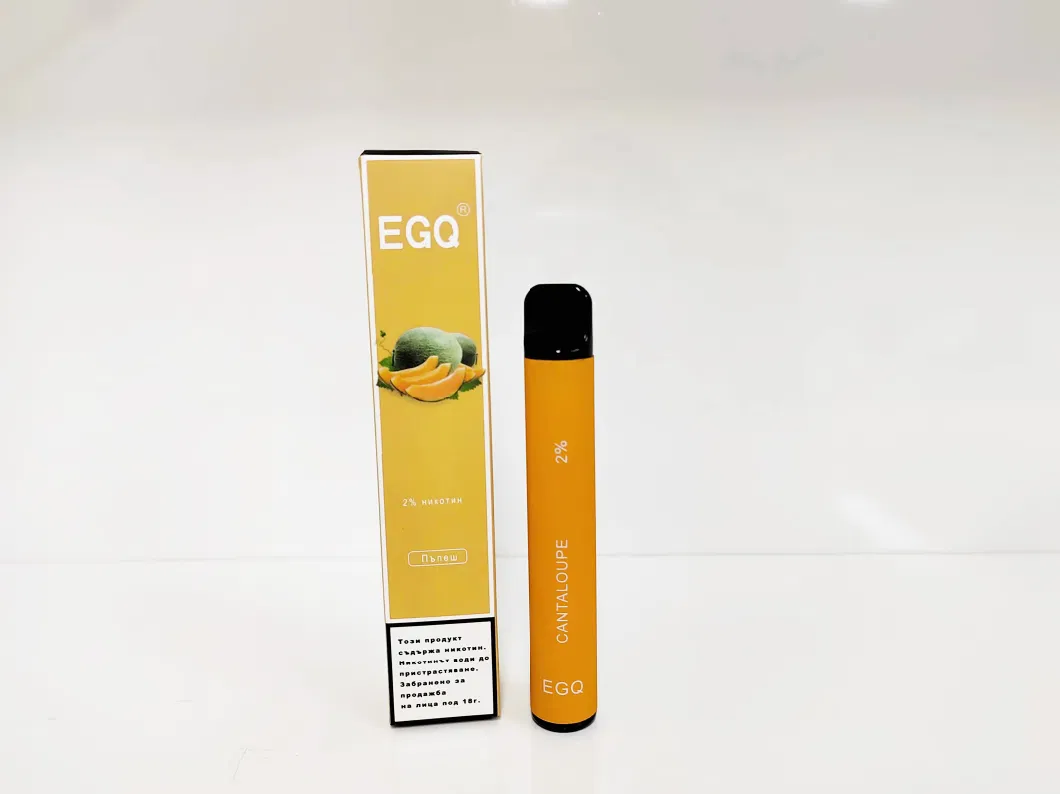 600 Puffs Disposable E-Cigarette with Custom Options