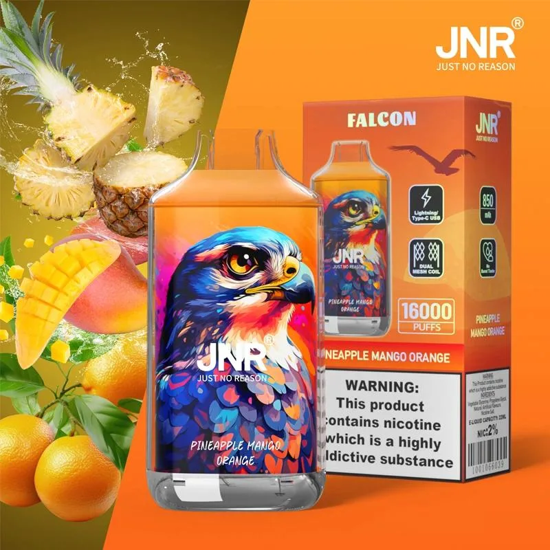 Jnr Falcon 16000 Puff Zbood PCR Material Chillax Fruit Flavor Non Rechargeable 4 Flavours Ultima Ipanda Disposable Vape Disposable Vape