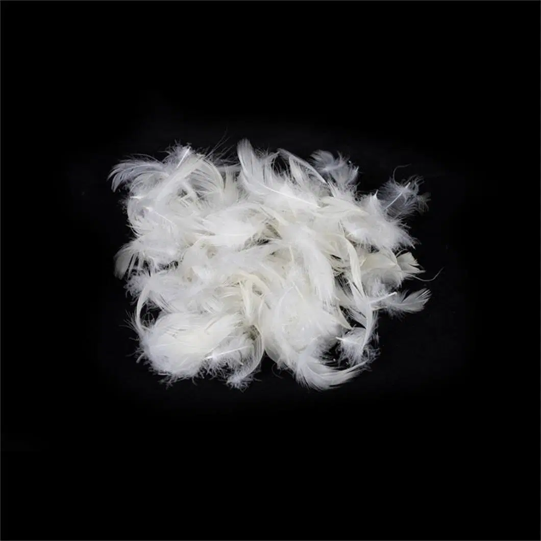 Natural 2-4 Cm Washed White Goose Down Feather for Pillow Duvet Use