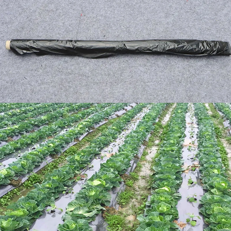 Wholesale Plastic Mulch Film Farming Gardening Film Weed Barrier Blocker