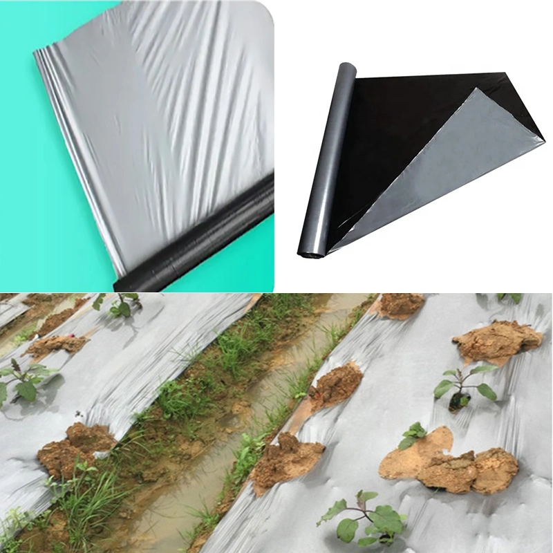 Wholesale Plastic Mulch Film Farming Gardening Film Weed Barrier Blocker