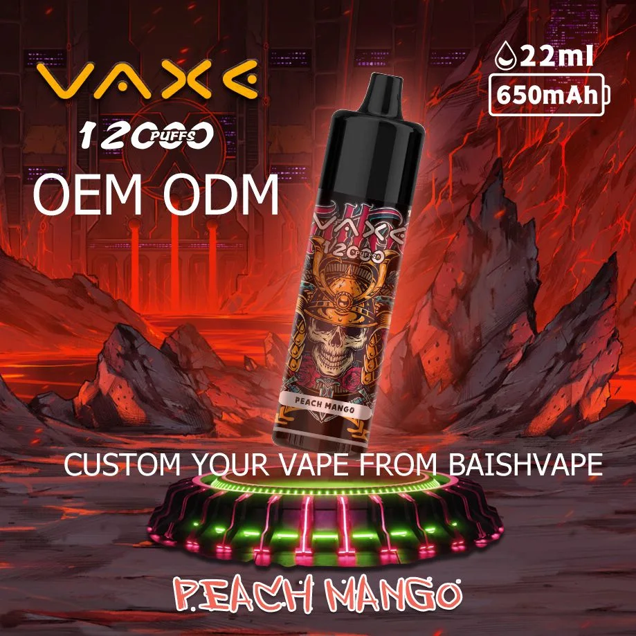 Vaxe 12K Puffs Zbood Private label Pi9000 Europe Cute Luckee Vuse Go E Cigarette Disposable Vape