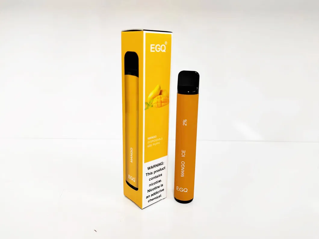 600 Puffs Disposable E-Cigarette with Custom Options