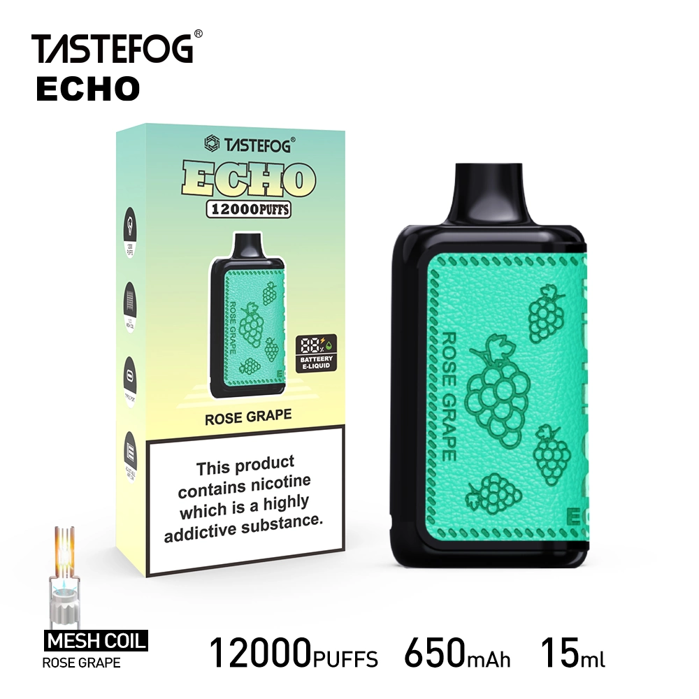 High Quality Tastefog Echo Rechargeable 12000 Puffs Disposable Vaping Box Mod E Cig