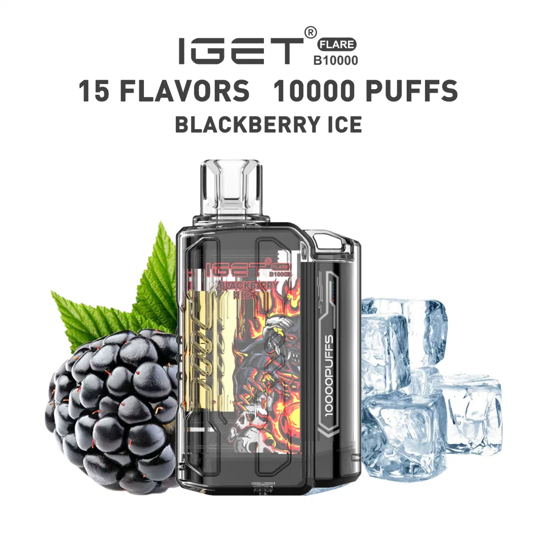 Disposable Vape EU Vape Iget Flare B10000 Puffs Electronic Cigarette Wholesale Iget Vape E Cigarette Vaping