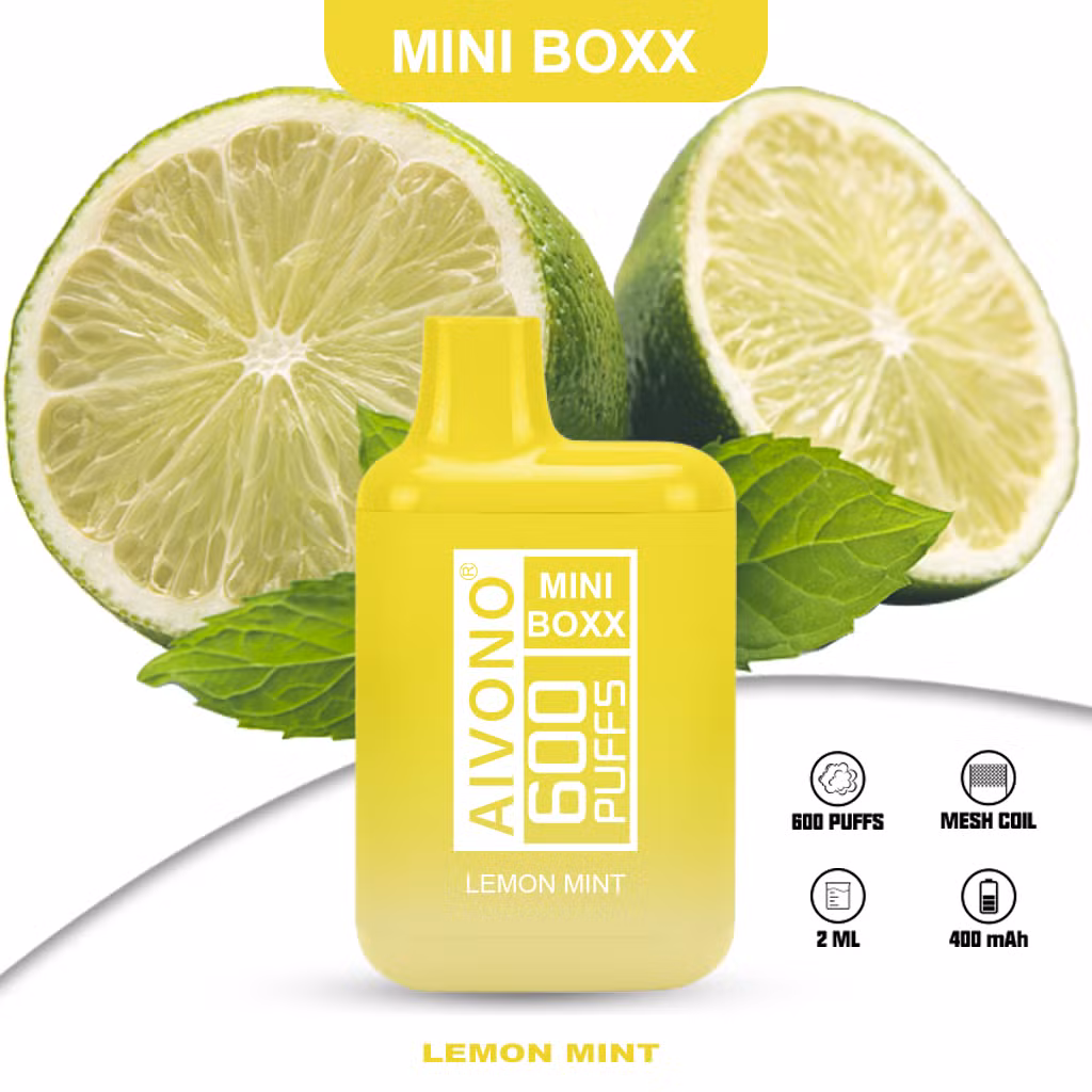 Aim-Mini Boxx 600 Puff Vaporizer Wholsale Disposable E Cigarette Vape Pen