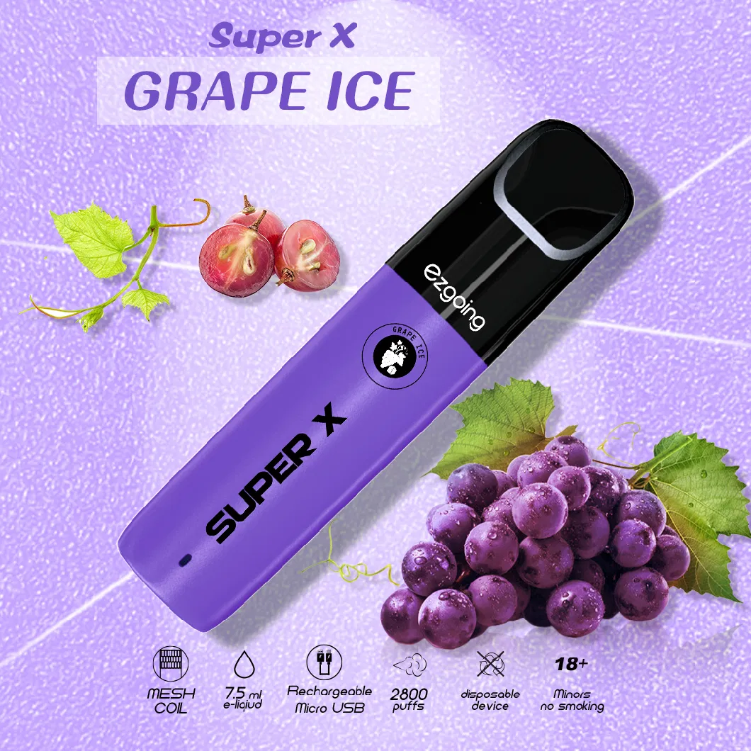 Factory Supply Wholesale Disposable Vape 2800 Puff Custom Vaporizer Pen