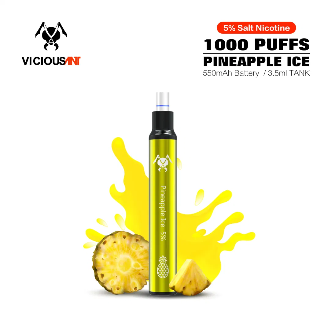 Wholesale Price Different Flavors Vaping E Cigarette Disposable 1000 Puffs with Filter