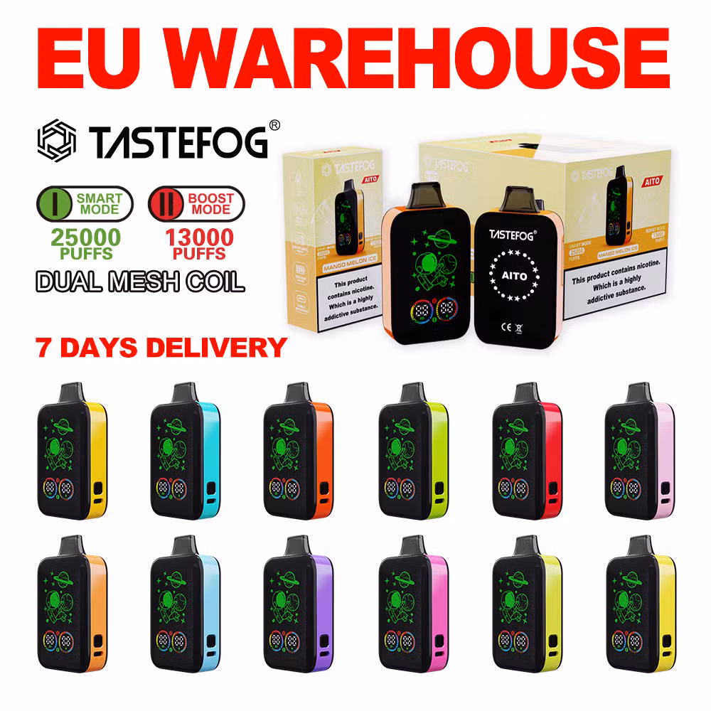 Electronic Smoke Vapers Manufacturers China Wholesale Tastefog Gemini New 25000 25K Puffs Disposable Vape Vaporizer