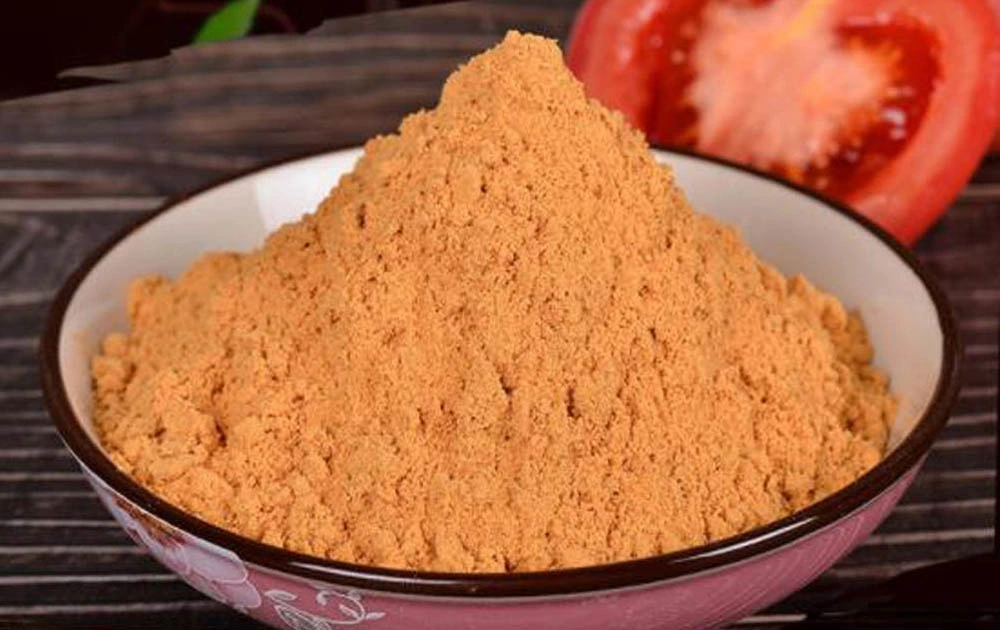 China Manufacturer Non-GMO Food Ingredient Tomato Extract Powder for Ketchup