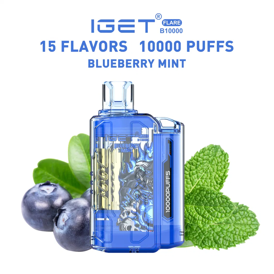 Disposable Vape EU Vape Iget Flare B10000 Puffs Electronic Cigarette Wholesale Iget Vape E Cigarette Vaping