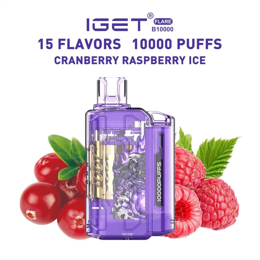 Disposable Vape EU Vape Iget Flare B10000 Puffs Electronic Cigarette Wholesale Iget Vape E Cigarette Vaping