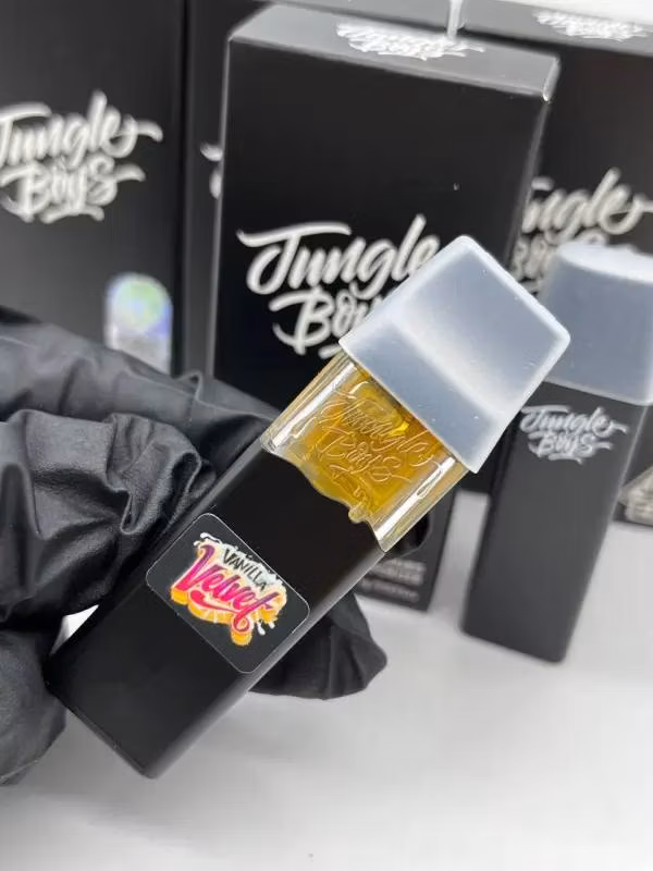 Wholesale Disposable E Cigarette Jungle Boys 1g Disposable Device Rechargeable Empty Pen EU UK USA