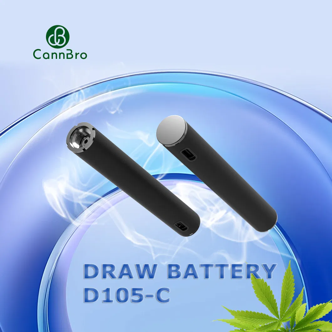 Custom Logo Packaging Preheat 510 Thread Carts Push Draw Battery Thick Oil Empty Disposable Vape Pen Rechargeable 350mAh 550mAh Cartridge Battery