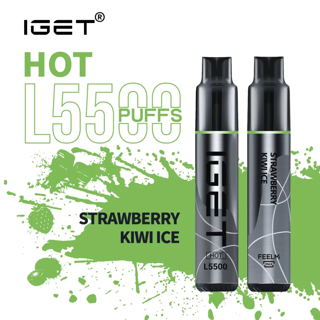 Wholesale Original Iget Me 5000 Puff Bar Mesh Coil Disposable Electronic Wholesale Disposable Vape Pen