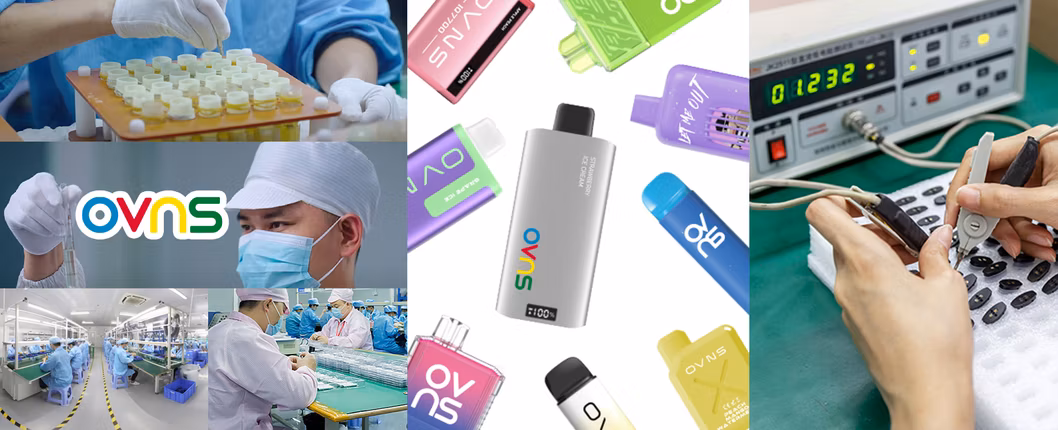 2024 Best Disposable Vapes with Touch Screen or Mega Screen