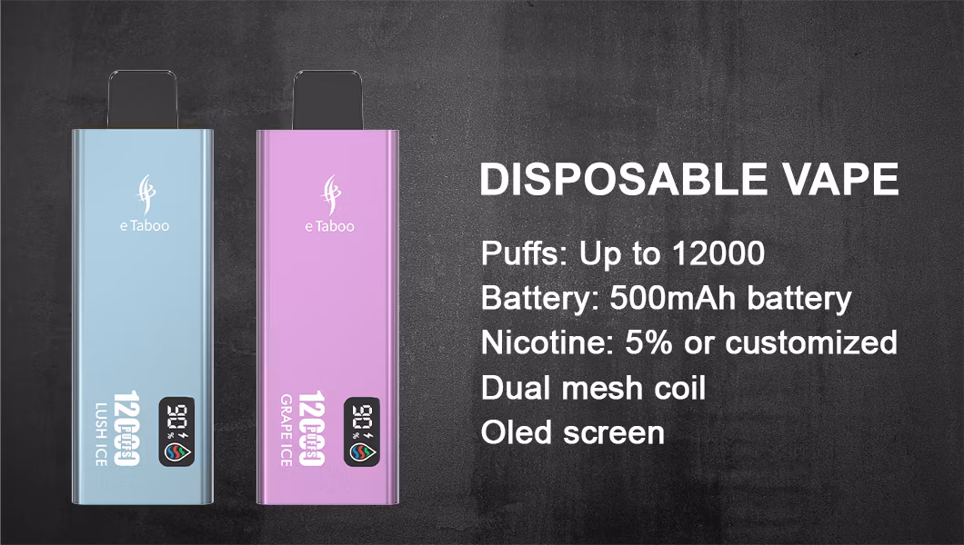 White Label Dual Mesh Coil 12000 Puff Disposable Turbo Vape Display Screen Slim Thin Wholesale OEM E Electronic Cigarette