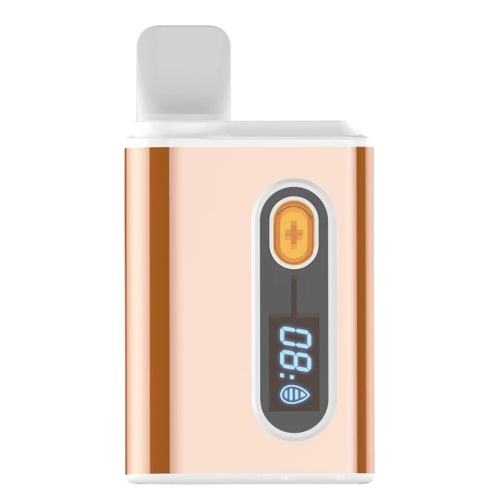 Long Lasting Rechargeable Battery Disposable Vape Pod How Much Does a Cart Cost