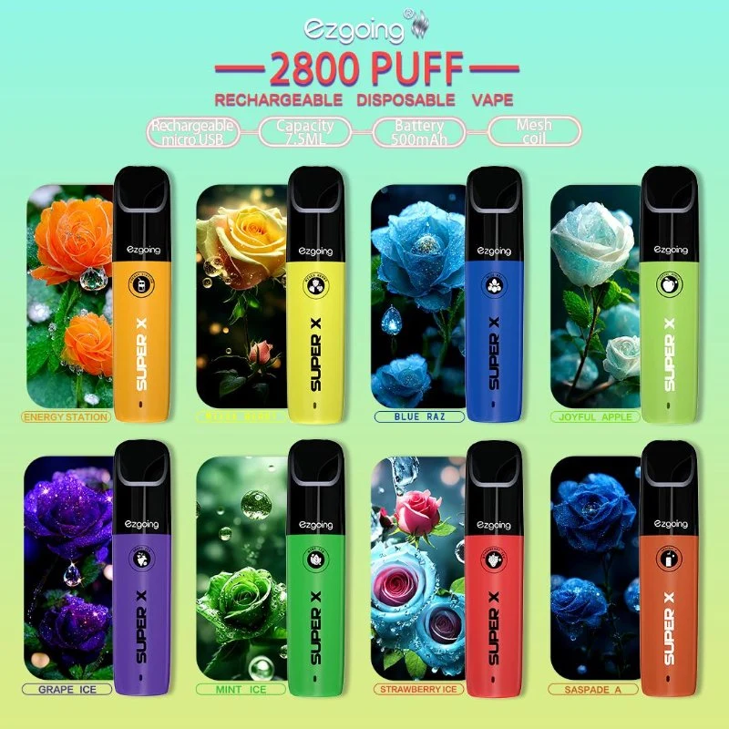 Ecig Shop 2800 Puffs Custom Vaporizer 3% Nicotine 6flavors Ecig Vape