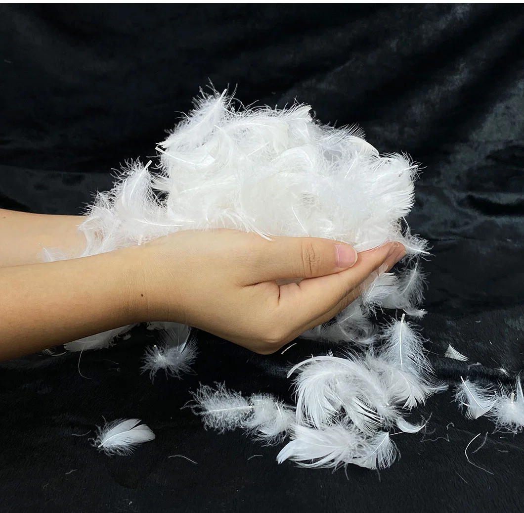 Manufacturer Supply Cheapest 2-4cm Washed White Duck Feather Material