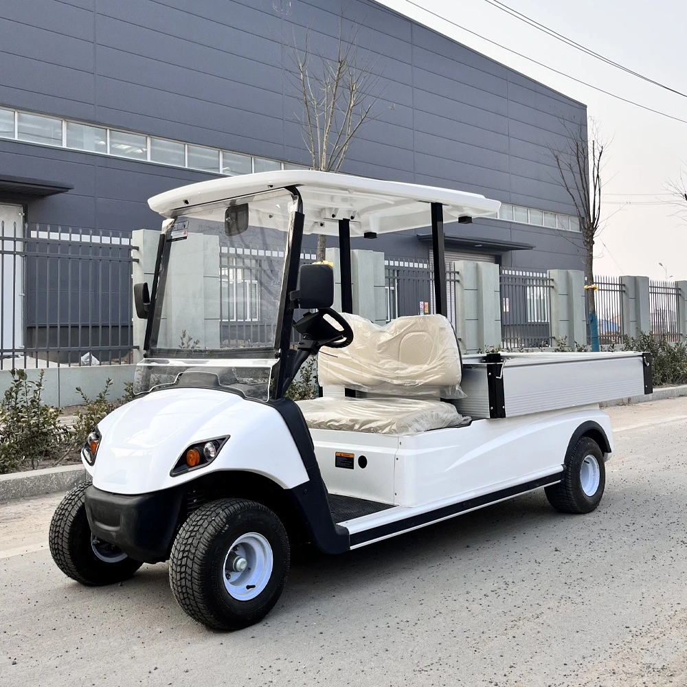 High-Quality Golf Cart with Grass-Friendly Tires for The Korean Market