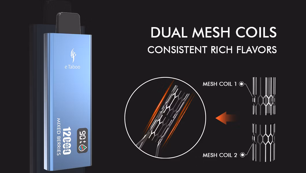White Label Dual Mesh Coil 12000 Puff Disposable Turbo Vape Display Screen Slim Thin Wholesale OEM E Electronic Cigarette