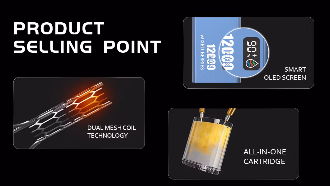 White Label Dual Mesh Coil 12000 Puff Disposable Turbo Vape Display Screen Slim Thin Wholesale OEM E Electronic Cigarette