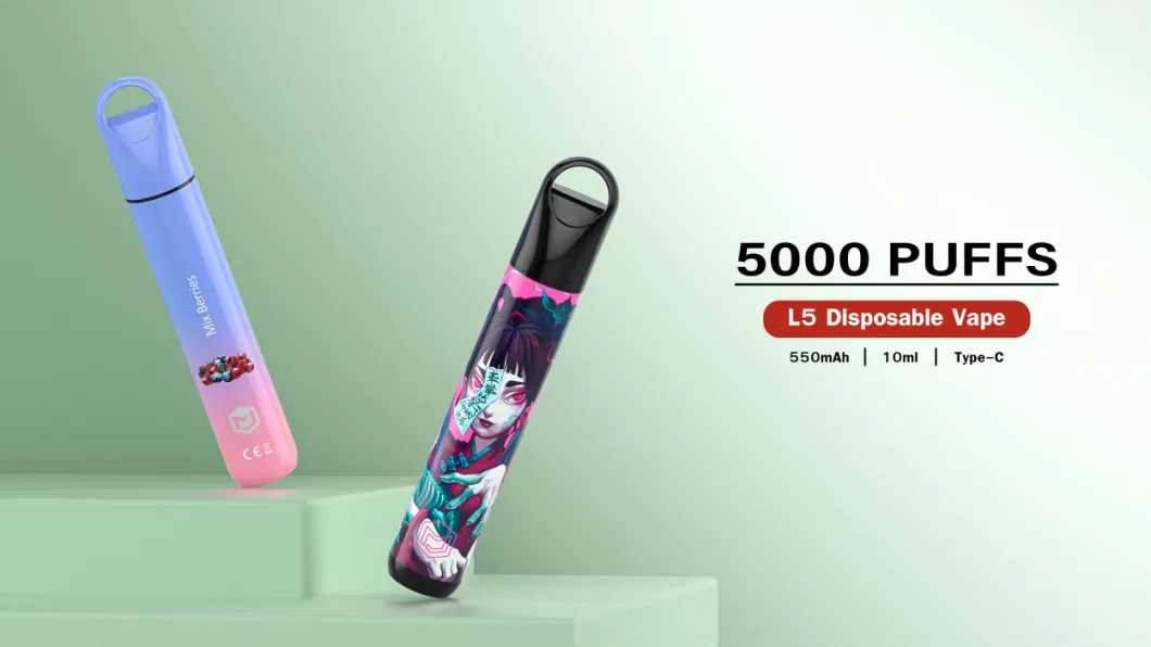 Shenzhen Best Vape Rechargeable Vape Disposable Manufacturer Vape Pen