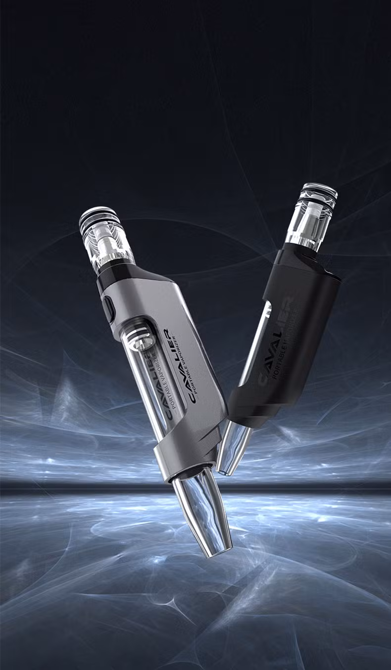 Wholesale Wax Vaporizer Pens Electric Wax Pens Disposable Oil Vaporizer Electric Nectar Collector DAB Pen