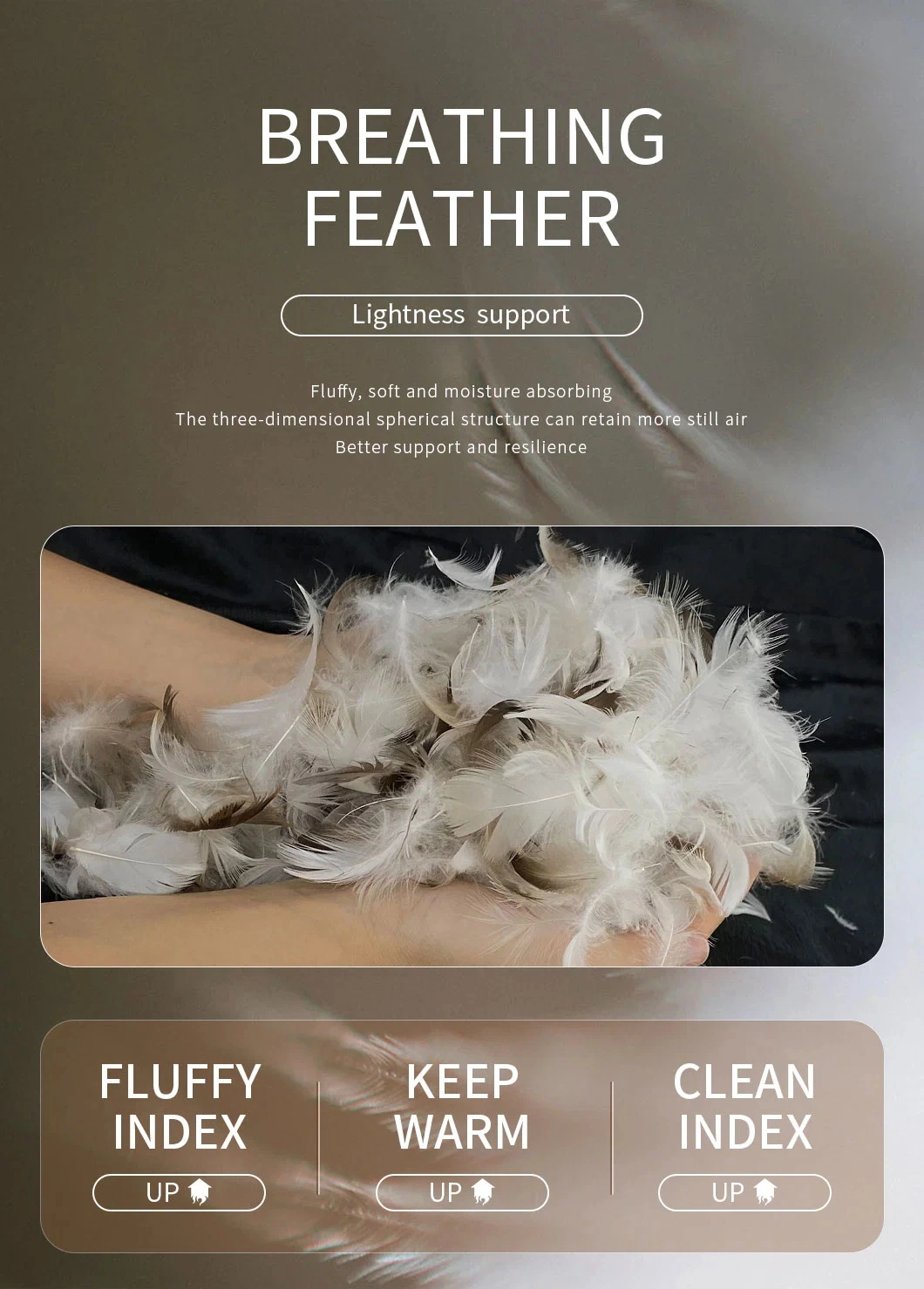 Cheap Price Washed 4-6cm Grey Feather Bedding Products