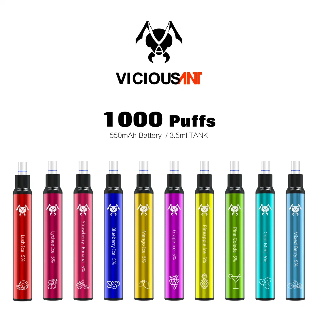 Wholesale Price Different Flavors Vaping E Cigarette Disposable 1000 Puffs with Filter