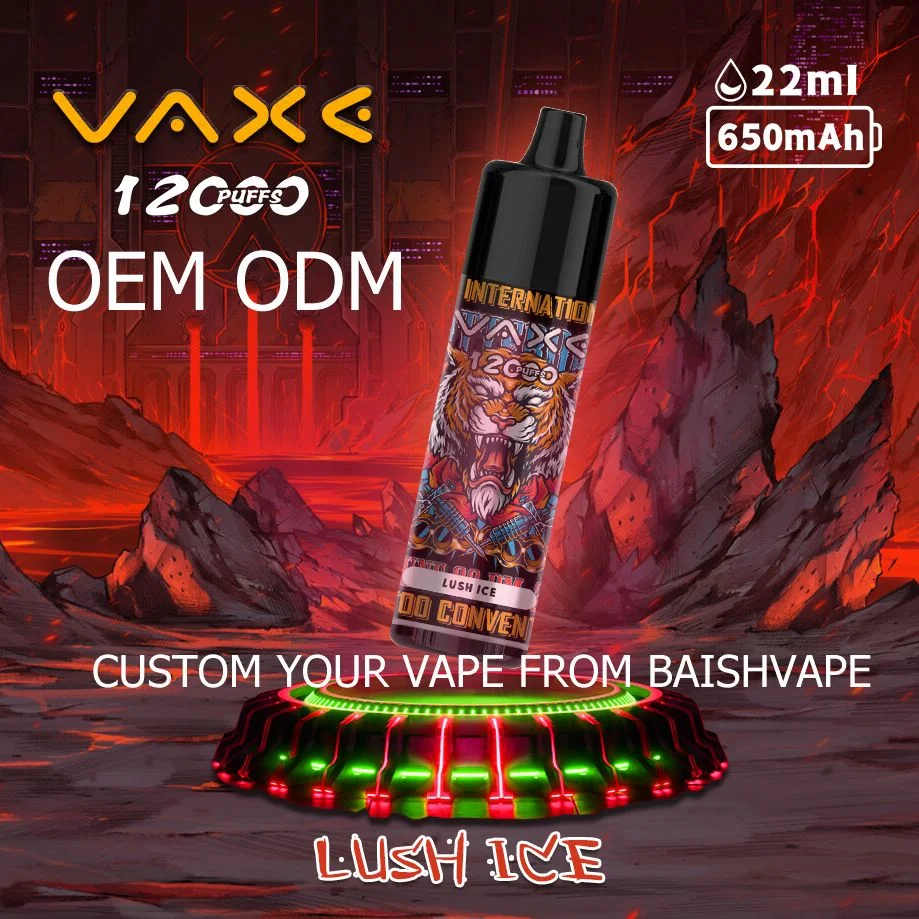 Vaxe 12K Puffs Zbood Private label Pi9000 Europe Cute Luckee Vuse Go E Cigarette Disposable Vape