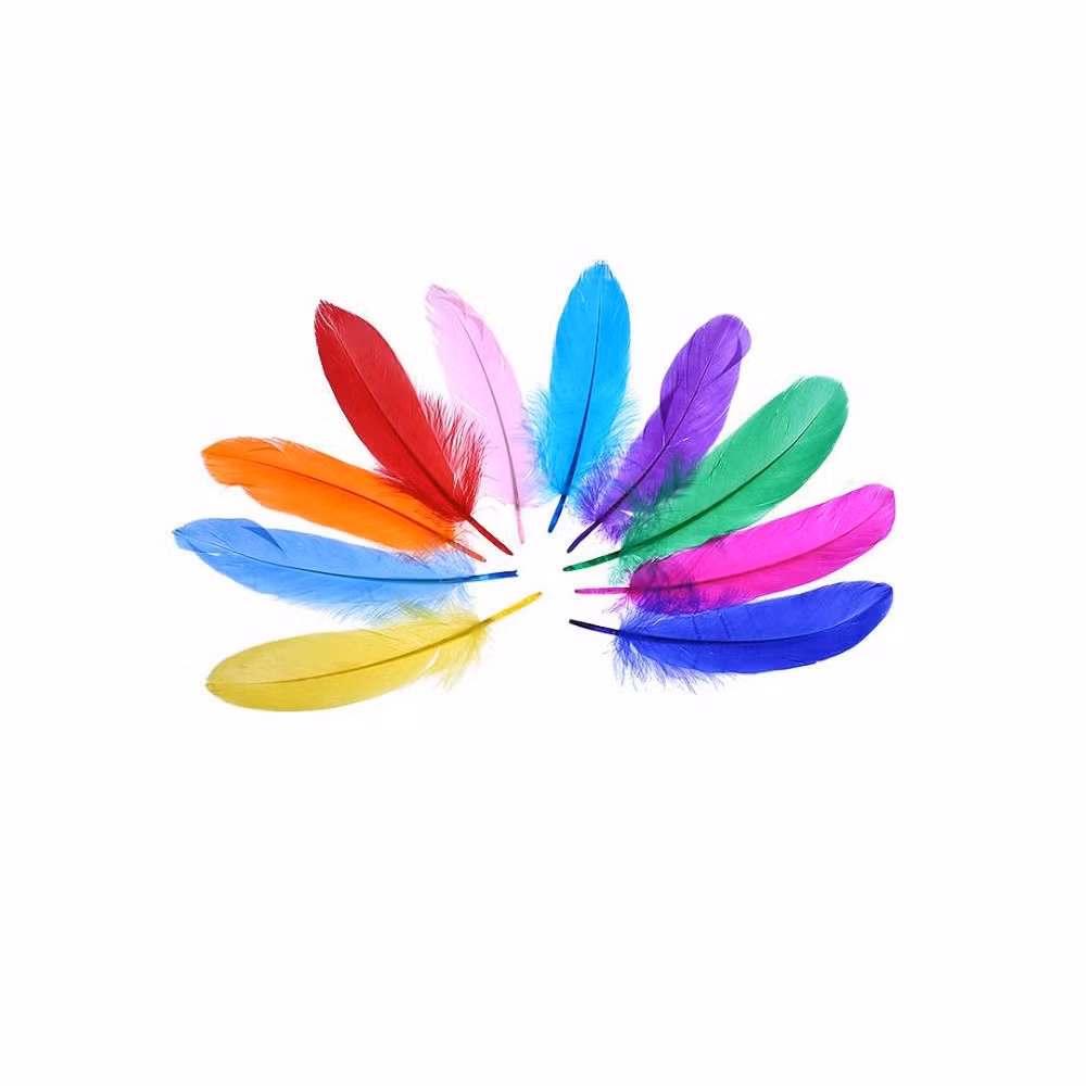 Hot Selling Wholesale DIY Colorful Feather