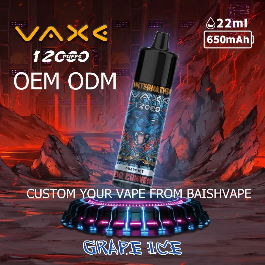 Vaxe 12K Puffs Zbood Private label Pi9000 Europe Cute Luckee Vuse Go E Cigarette Disposable Vape