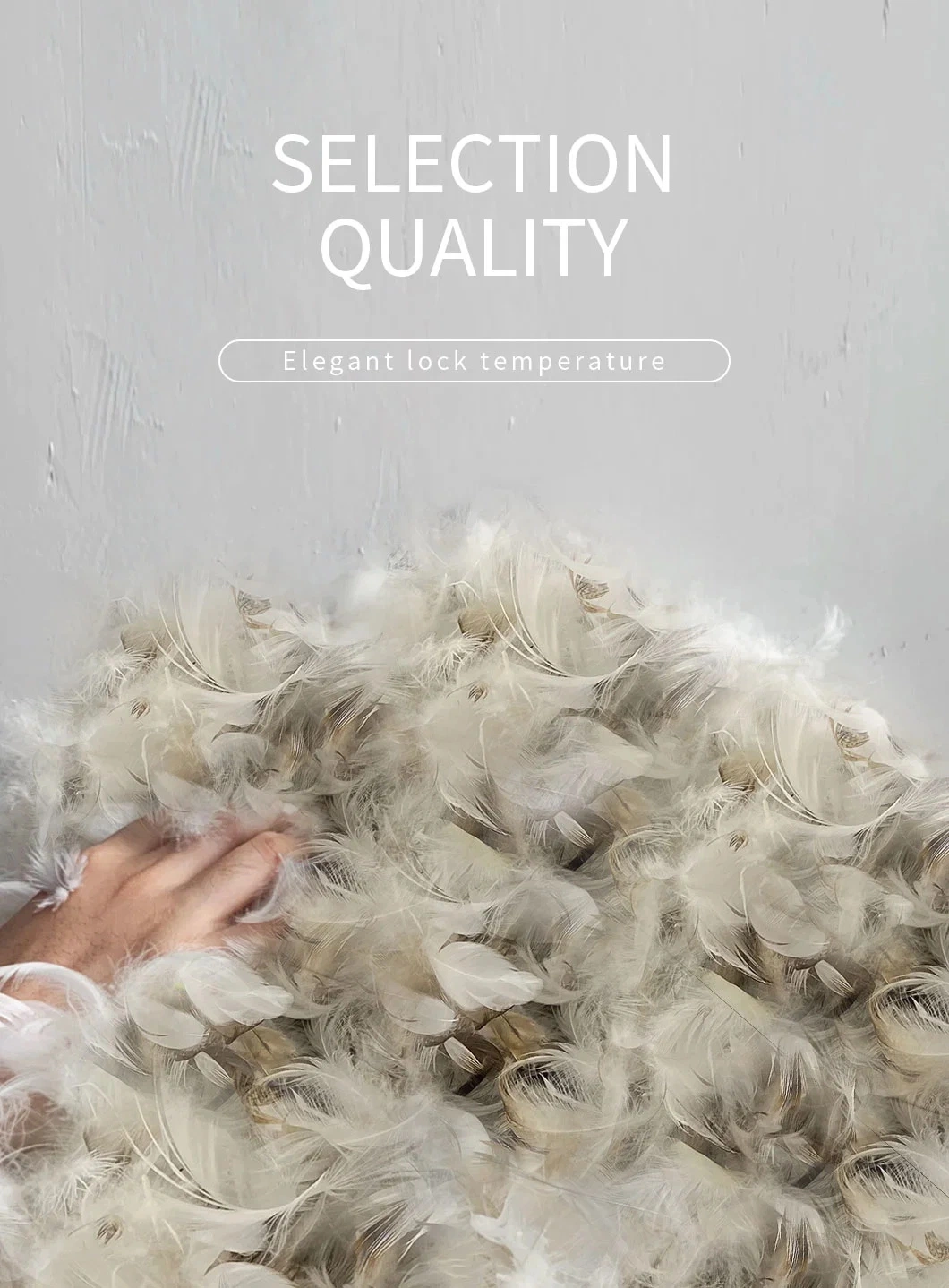 Cheap Price Washed 4-6cm Grey Feather Bedding Products