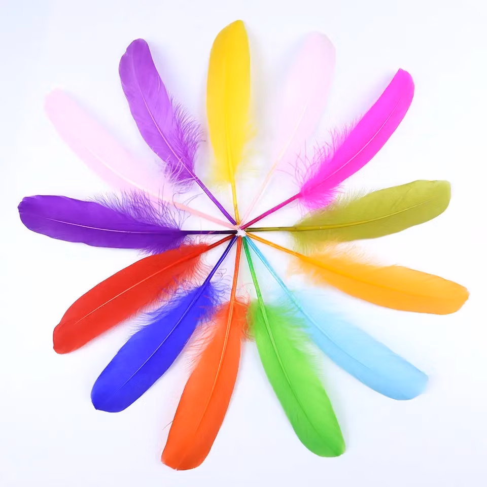 Hot Selling Wholesale DIY Colorful Feather