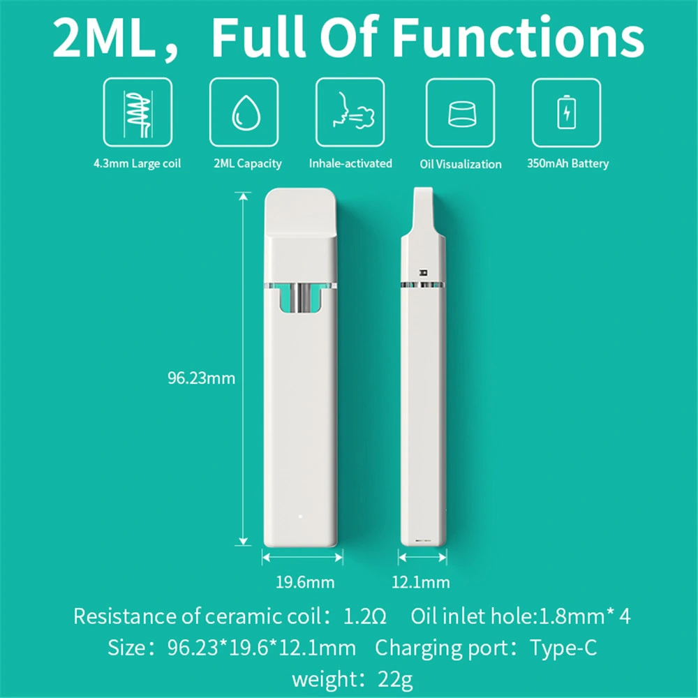 No Leaking Rechargeable Ceramic Coil Empty 2ml Disposable Vaporizer with Type-C Port