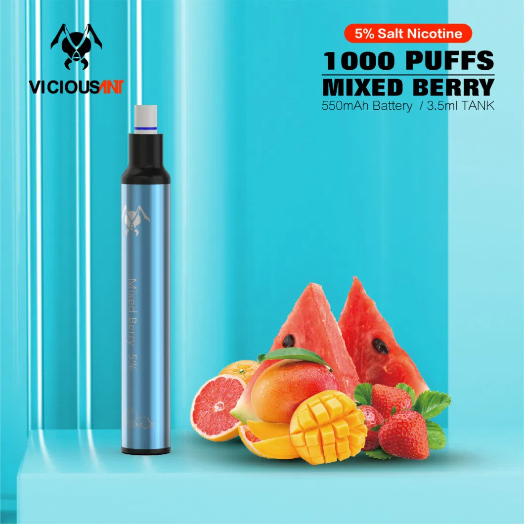 Wholesale Price Different Flavors Vaping E Cigarette Disposable 1000 Puffs with Filter