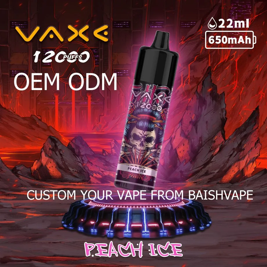 Vaxe 12K Puffs Zbood Private label Pi9000 Europe Cute Luckee Vuse Go E Cigarette Disposable Vape