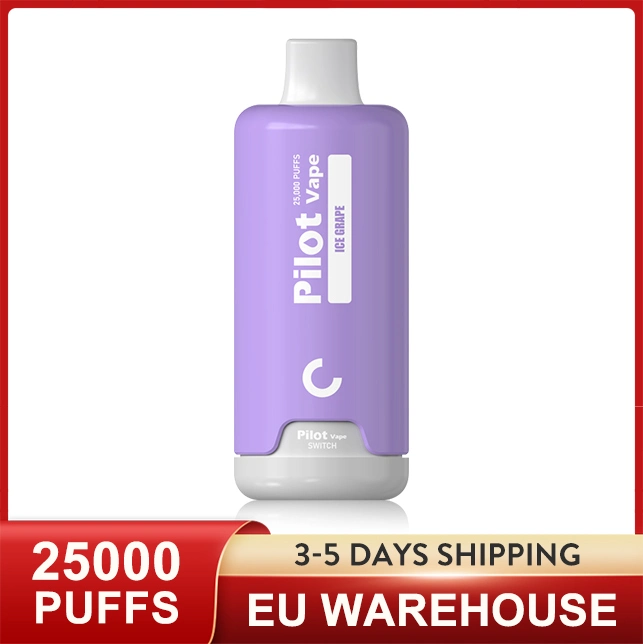 EU Warehouse Pilot 25000 Pod System Indicated Light Electronic Cigarette New Pocket Hookah Puff 20K 20000 Puffs Vape Disposable