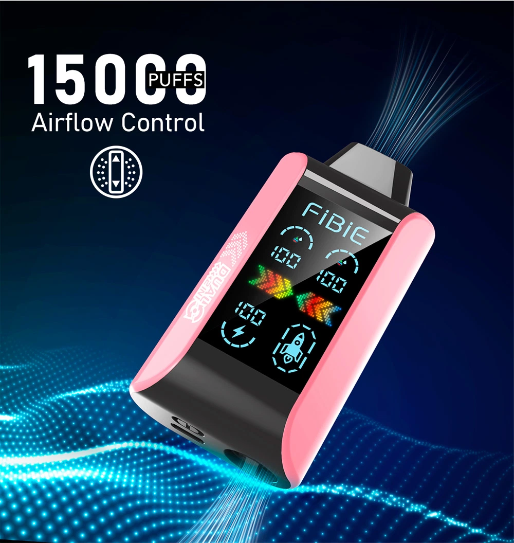 Newest Airflow Adjustable 15000 Puffs LCD Screen Disposable Vape Dual Mesh Coil