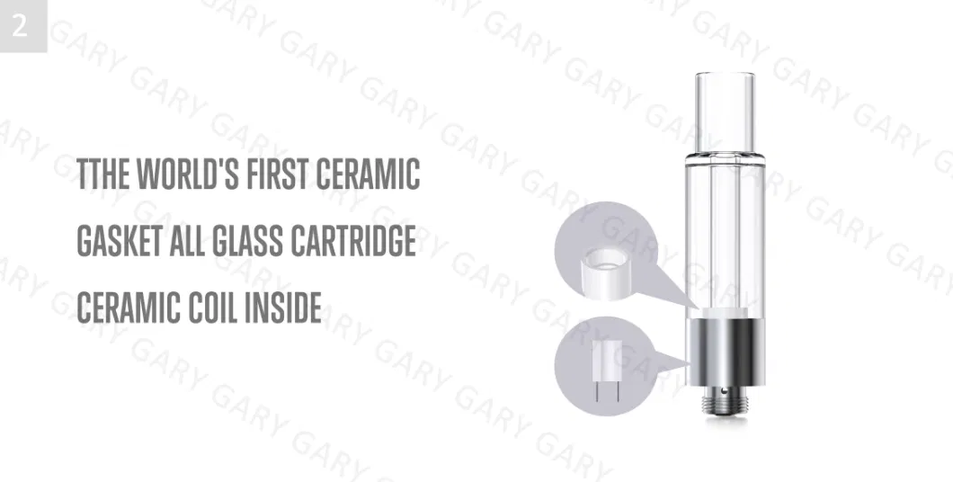 Custom Vape Cart Plastic Tube 510 Thread Vapes Glass 0.5g 1g 2g Full Glass Vape Carts