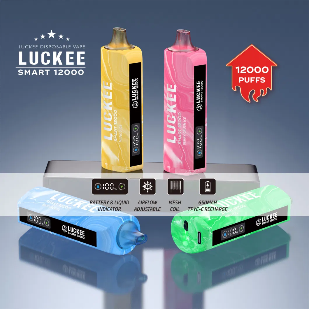 Wholesale Price China Luckee 12000puffs 650mAh Rechargeable Battery Nic5% Disposable Vape Pen