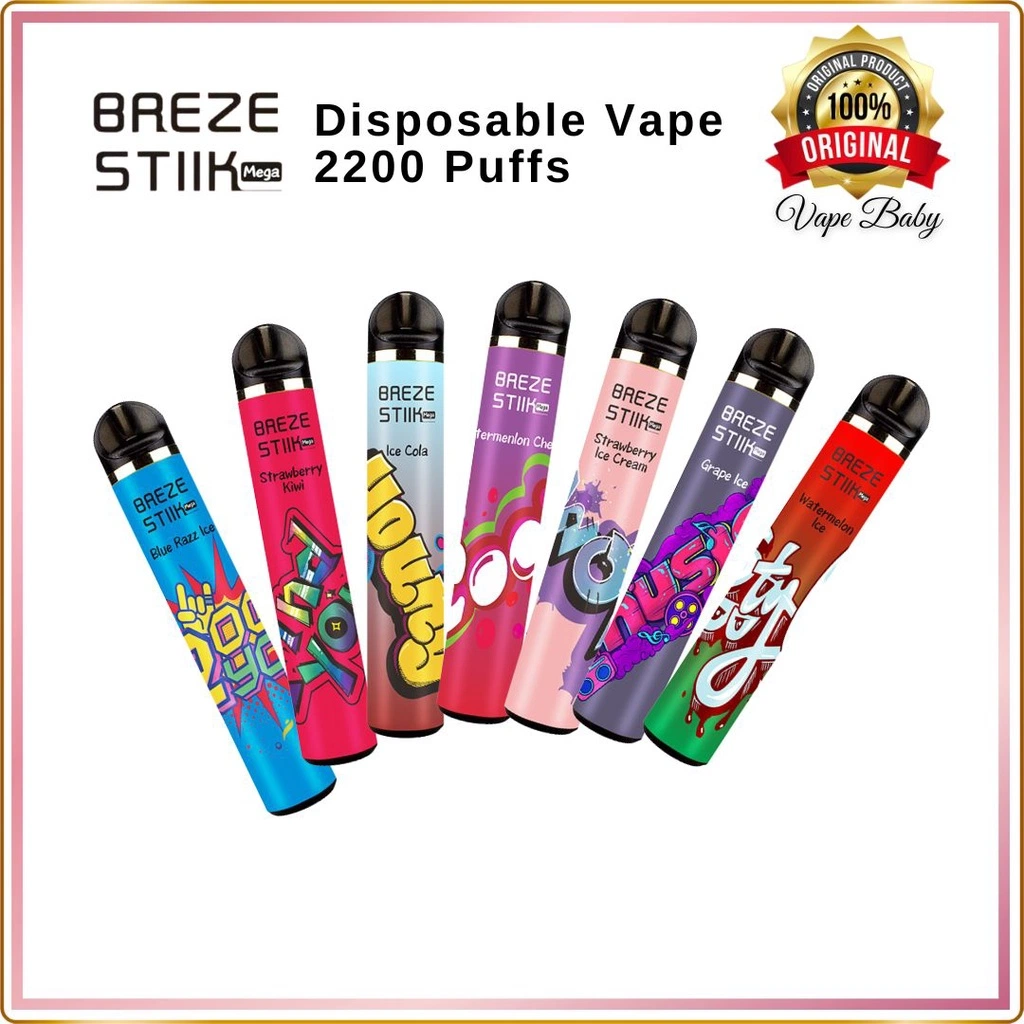 Breze Stiik Mega 2200 Puffs Disposable Vape Kit 8 Flavors Best Dry Herb Vaporizer Best