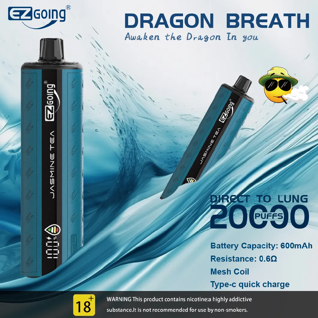 Ezgoing Factroy with Screen 25000puff 25K Original Cigarette Wholesale EU Pocket Vape Pen Disposable Vape