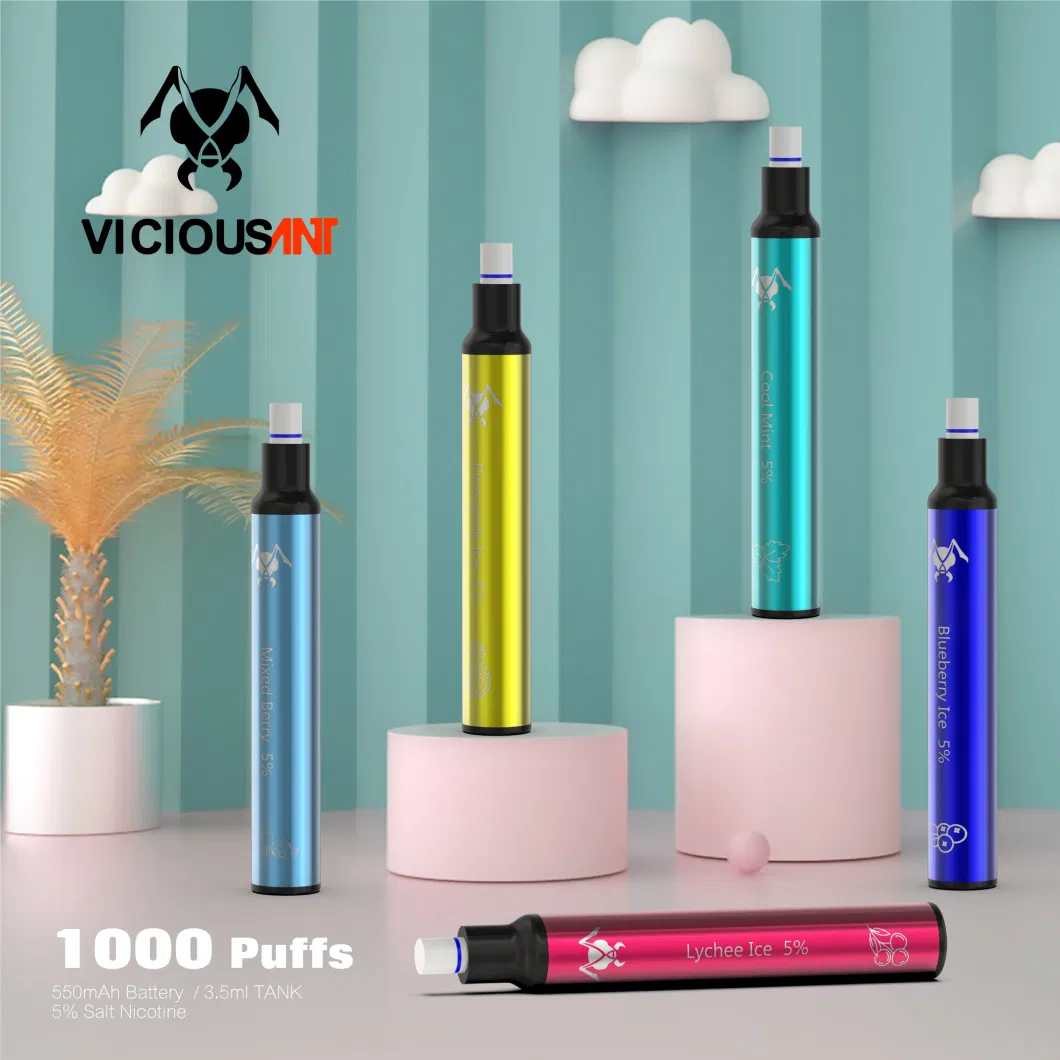 Wholesale Price Different Flavors Vaping E Cigarette Disposable 1000 Puffs with Filter