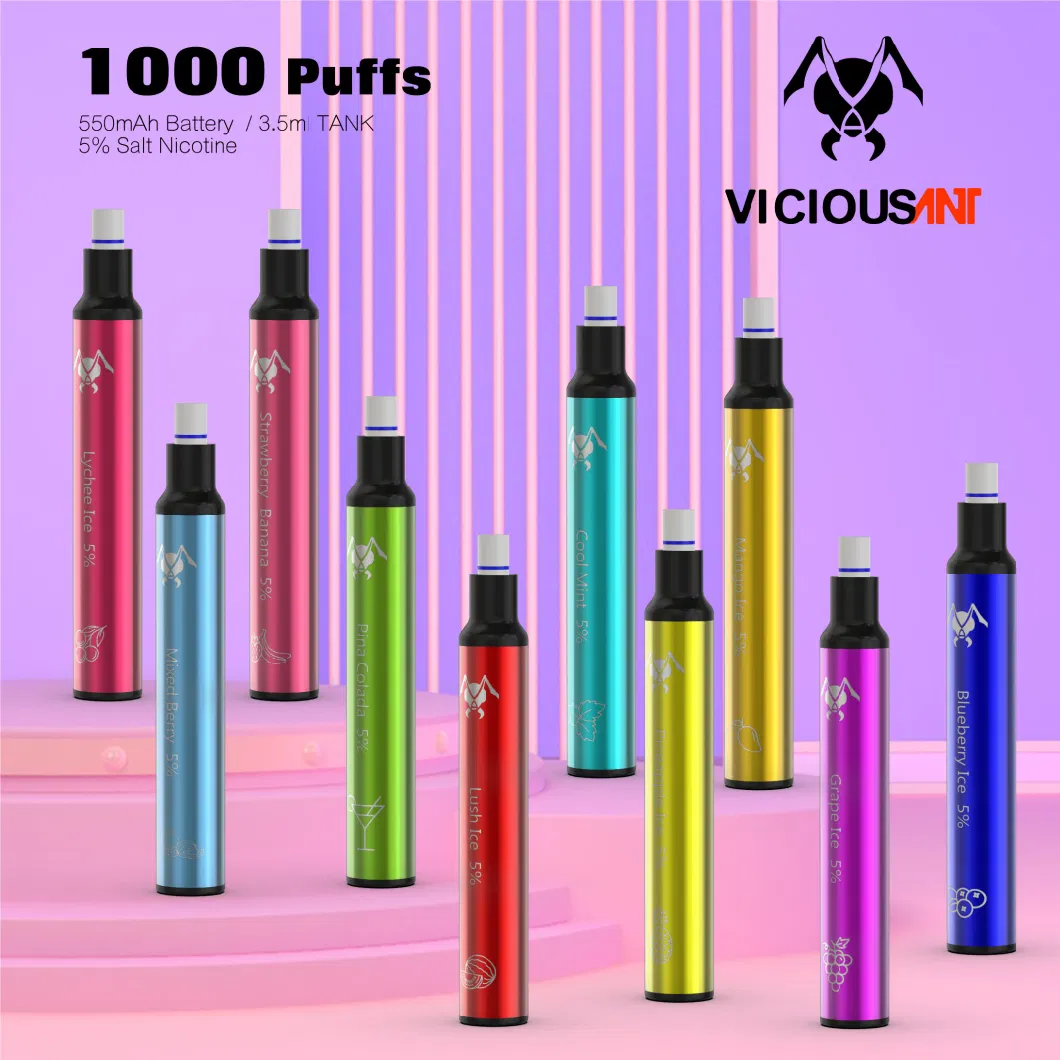 Wholesale Price Different Flavors Vaping E Cigarette Disposable 1000 Puffs with Filter